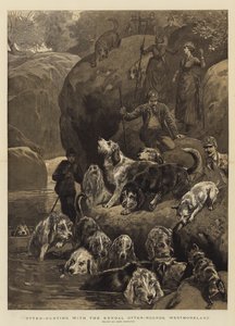 Saukkonmetsästys Kendalin saukkokoirien kanssa, Westmoreland